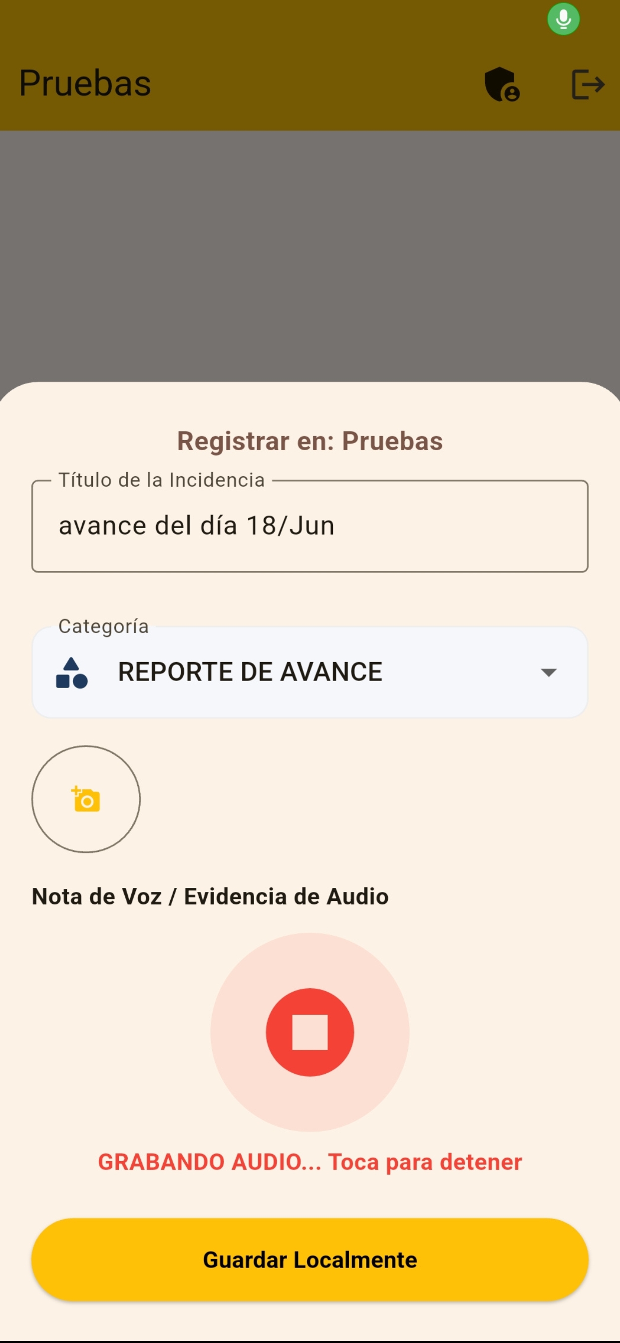 Formulario de Incidencia